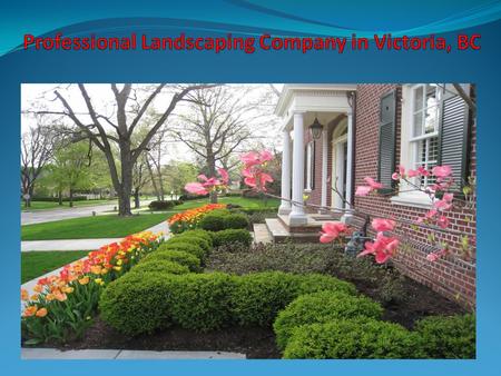 Professional Landscaping Company in Victoria, BC