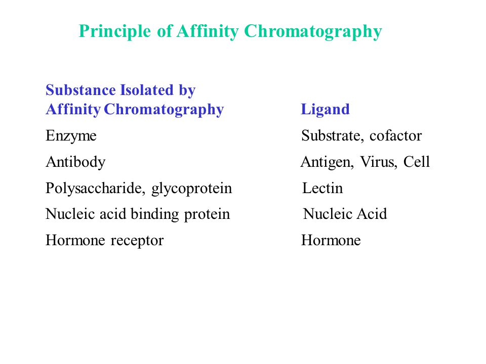 affinity chromatography ligand