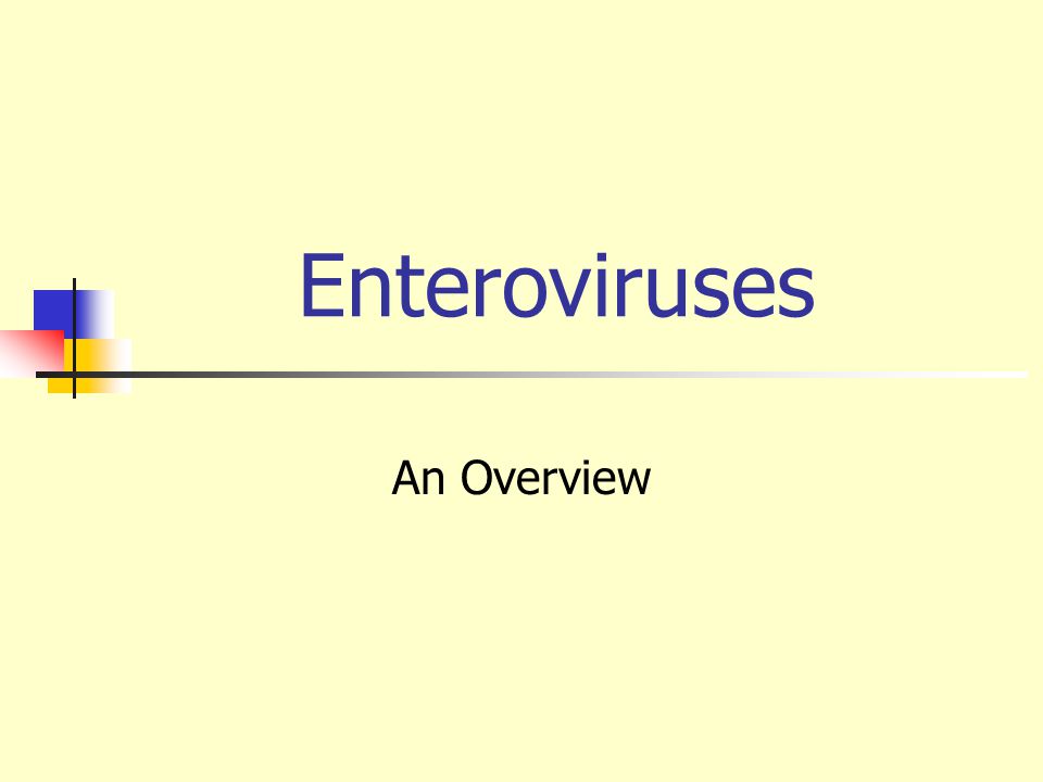 Enteroviruses An Overview Ppt Video Online Download Enteroviruses An Overview Ppt Video Online Download