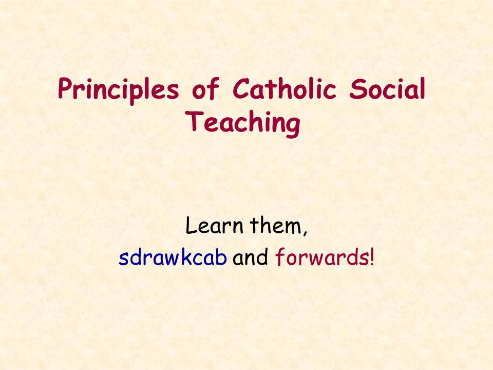 introduction to catholic social teaching - ppt download
