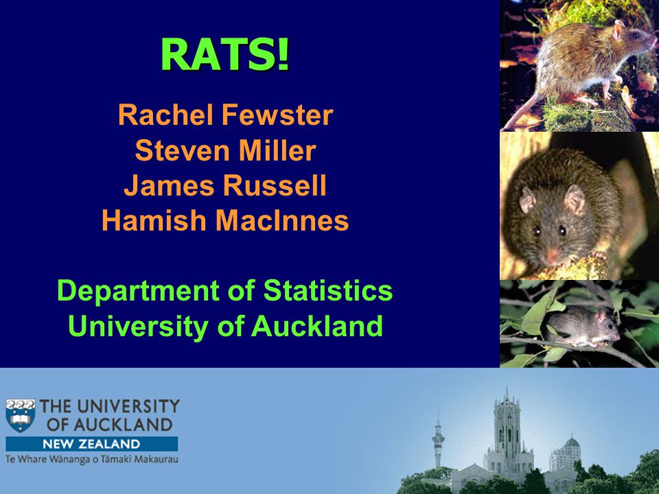 Rats Rachel Fewster Steven Miller James Russell Hamish Macinnes Department Of Statistics University Of Auckland Ppt Download