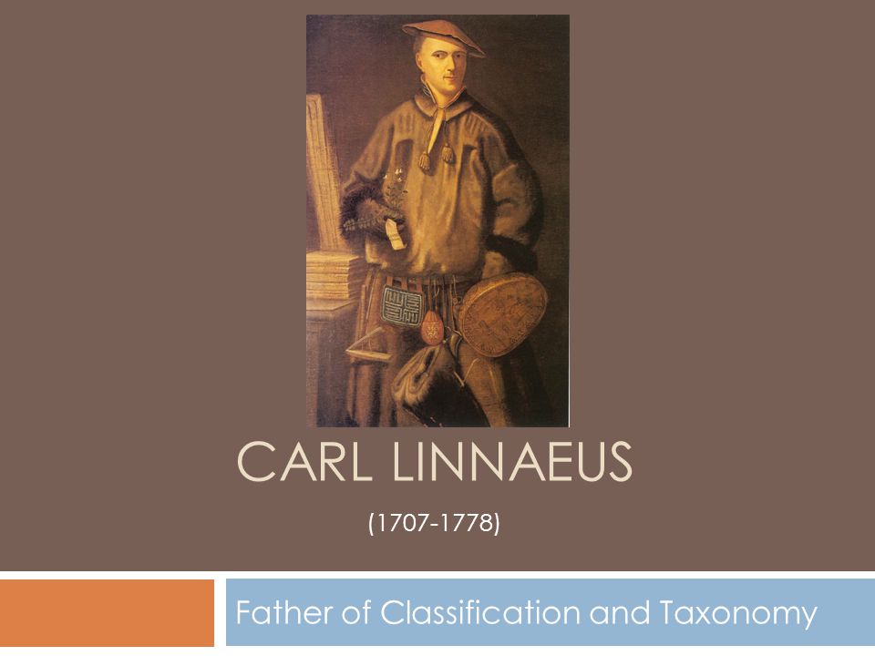 CARL LINNAEUS Father of Classification and Taxonomy ( ) - ppt download