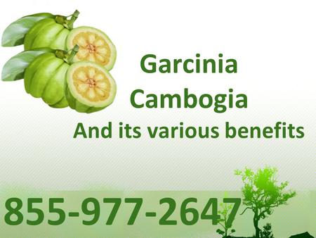 Garcinia Cambogia And its various benefits.