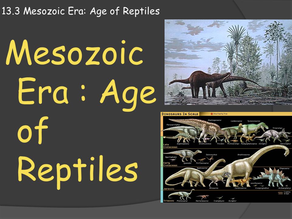 mesozoic era animals