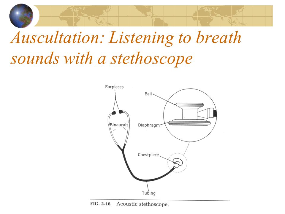Auscultation: Listening to breath sounds with a stethoscope - ppt video  online download