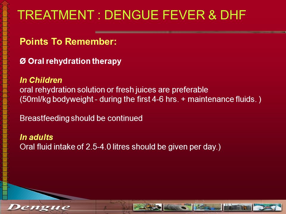 hours in 6 paracetamol 6 online download ppt  AND video ITS  DENGUE MANAGEMENT