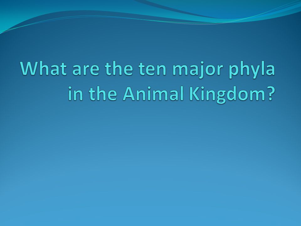 What are the ten major phyla in the Animal Kingdom? - ppt video online  download