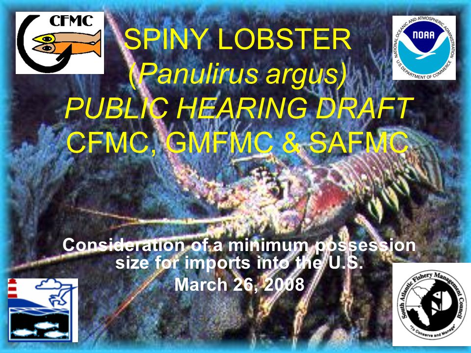 SPINY LOBSTER (Panulirus argus) PUBLIC HEARING DRAFT CFMC, GMFMC