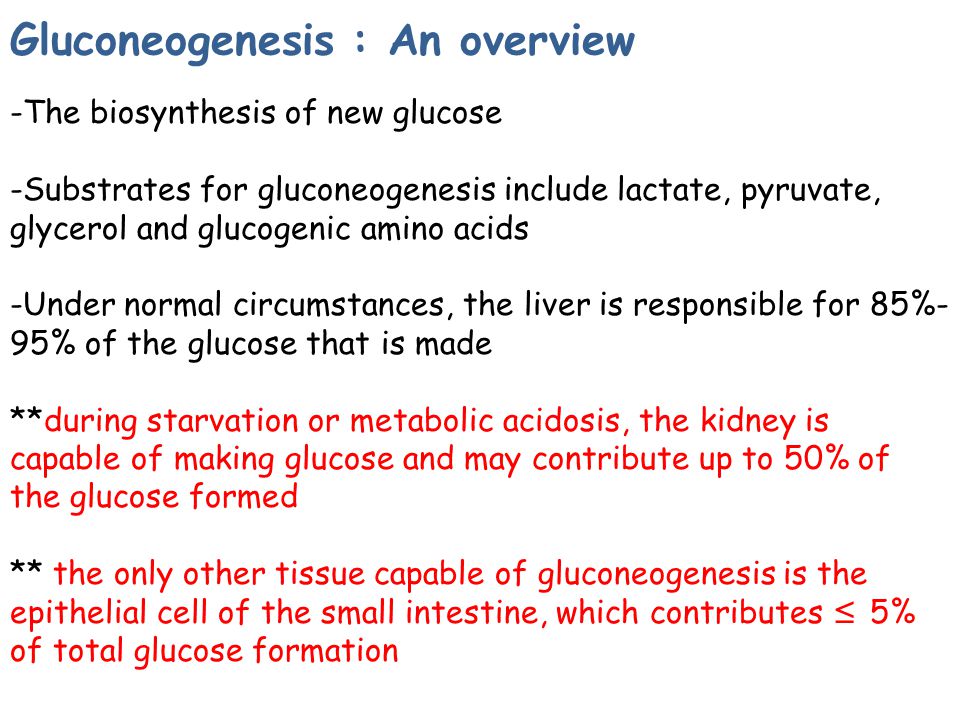 Glycogenolysis Vs Gluconeogenesis Ppt Powerpoint, 57% OFF