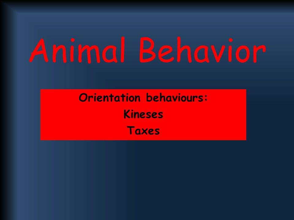 Orientation behaviours: Kineses Taxes - ppt video online download