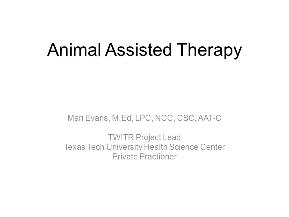 Animal Assisted Therapy - ppt video online download