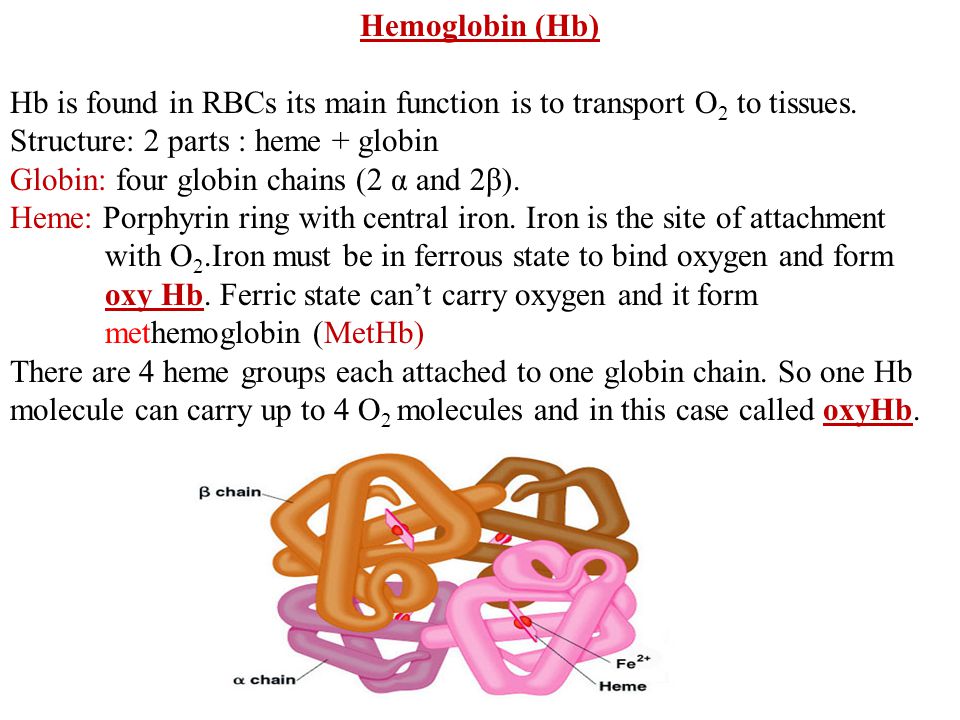 Hemoglobin (Hb) Hb is found in RBCs its main function is to transport O2 to  tissues. Structure: 2 parts : heme + globin Globin: four globin chains (2  α. - ppt video online download