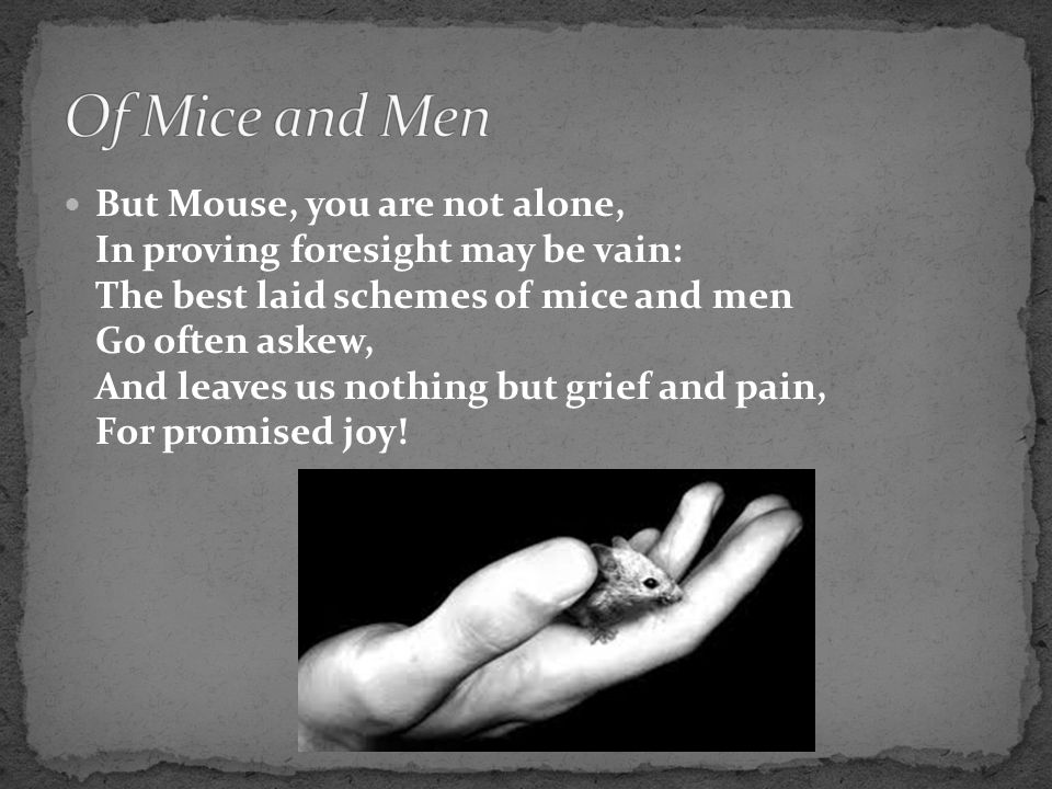 [Image: Of+Mice+and+Men.jpg]