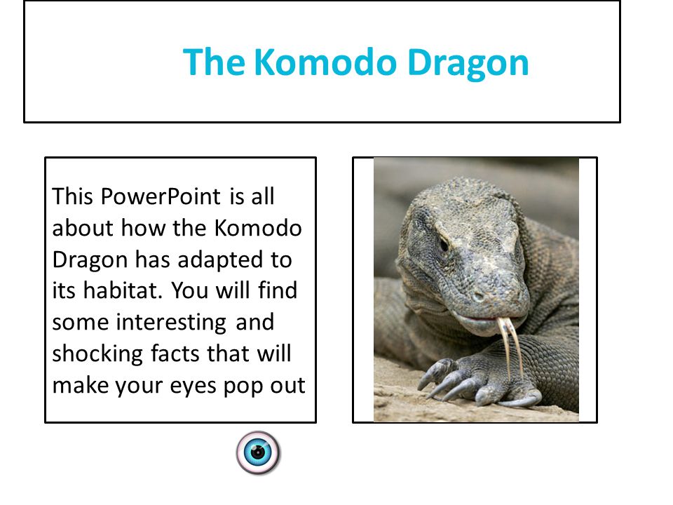 komodo dragon facts