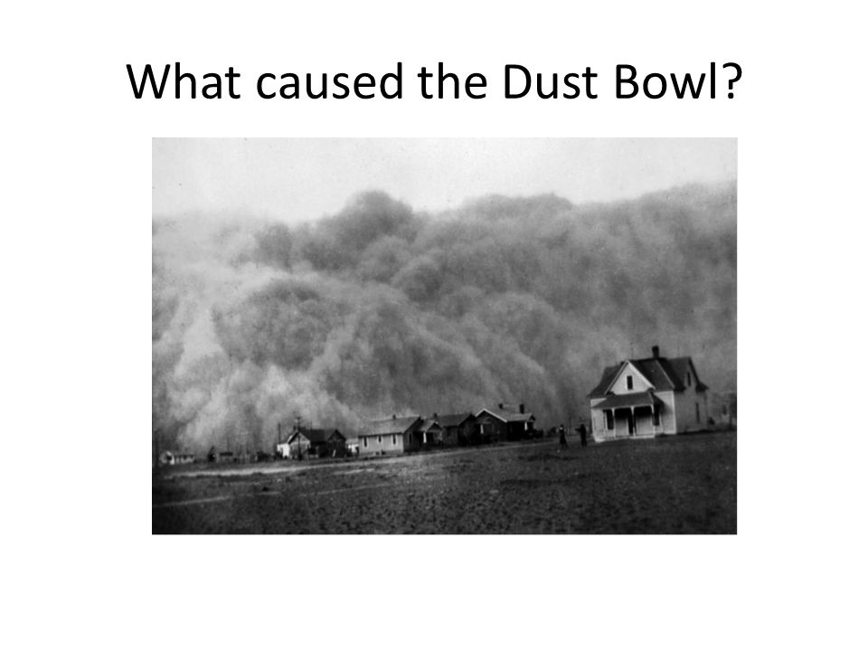 What caused the Dust Bowl ppt video online download