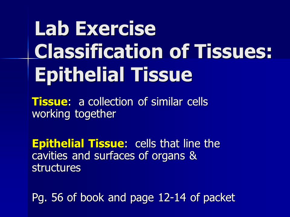 Lab Exercise Classification of Tissues: Epithelial Tissue Tissue: a  collection of similar cells working together Epithelial Tissue: cells that  line the. - ppt download