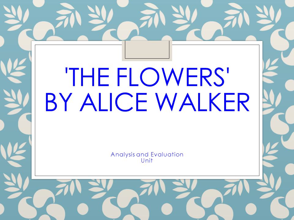 alice walker the flowers summary
