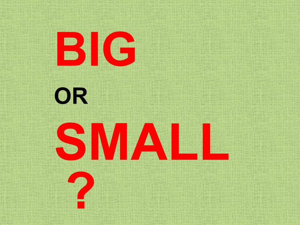 Big Or Small Ppt Video Online Download Big Or Small Ppt Video Online Download