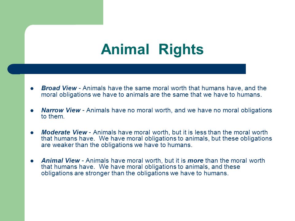Animal Rights Broad View - Animals have the same moral worth that humans  have, and the moral obligations we have to animals are the same that we have.  - ppt download