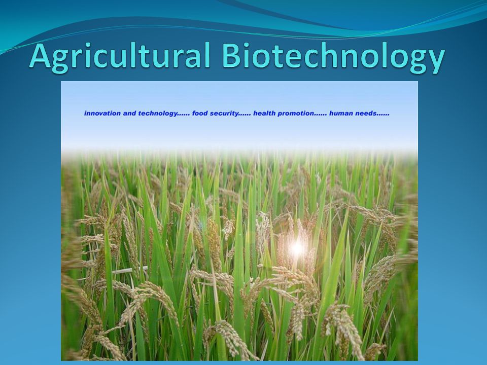 Agricultural Biotechnology - ppt video online download
