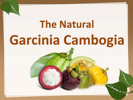 The Natural Garcinia Cambogia