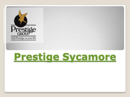 Prestige Sycamore
