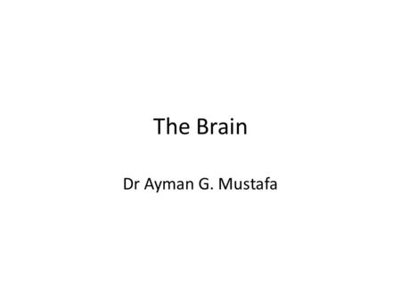 The Brain Dr Ayman G. Mustafa. CNS = Brain + Spinal cord Brain is divided into 1.Forebrain 2. Midbrain 3. Hindbrain.