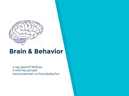 Brain & Behavior อ. พญ. ปุณย์จารี วิริยโกศล ภาควิชาจิตเวชศาสตร์ คณะแพทยศาสตร์ มหาวิทยาลัยเชียงใหม่