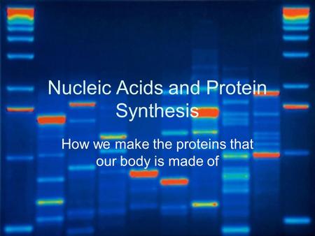 Nucleic Acids and Protein Synthesis How we make the proteins that our body is made of.