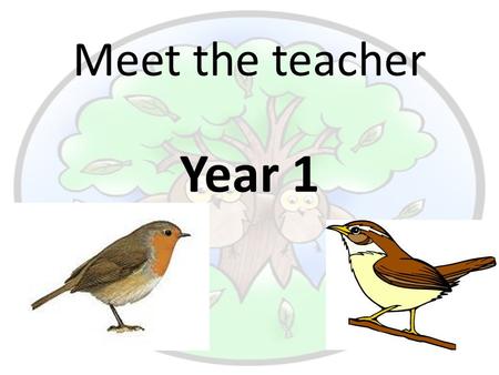 Meet the teacher Year 1. Meet the Year 1 team… Robin Class Miss du Toit Class Teacher Miss Diver Teaching Assistant Miss Milham Teaching Assistant Mrs.