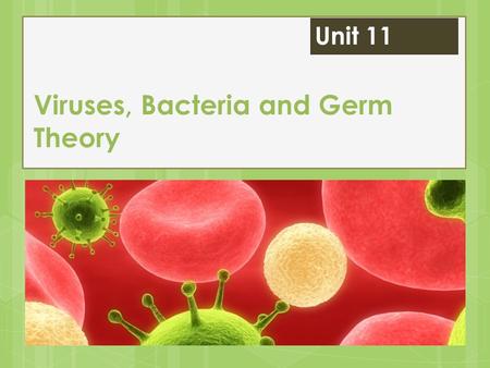 Viruses, Bacteria and Germ Theory Unit 11. Germ Theory of Disease Throughout history, people have created many explanations for disease. Germ theory led.