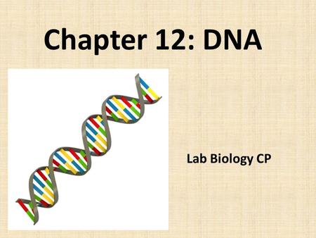Chapter 12: DNA Lab Biology CP. Chapter 12: DNA 12.1 Identifying the Substance of Genes 12.2 The Structure of DNA 12.3 DNA Replication.