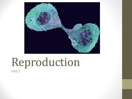 Reproduction Unit 2. Key Ideas Chapter 4: The nucleus controls the functions of life Chapter 5: Mitosis is the basis of asexual reproduction Chapter 6: