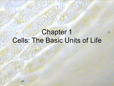 Chapter 1 Cells: The Basic Units of Life. Cells Tissues Organ (stomach, heart, lungs, skin) Organ systems (nervous system, digestive system Organism.