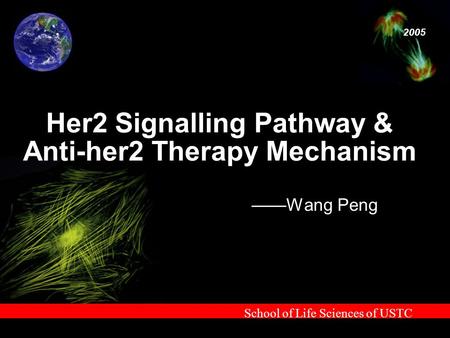 School of Life Sciences of USTC 2005 Her2 Signalling Pathway & Anti-her2 Therapy Mechanism ——Wang Peng.