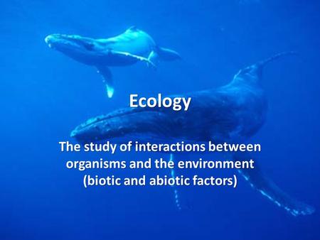 Ecology The study of interactions between organisms and the environment (biotic and abiotic factors)