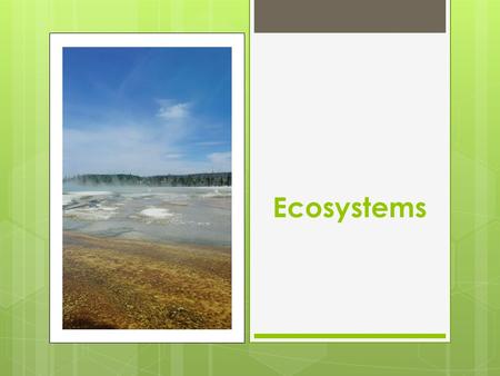 Ecosystems. Definitions  Ecology - Study of interactions between organisms & environment  Population – same organisms, living together  Community –