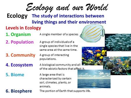 Ecology and our World Ecology The study of interactions between living things and their environment Levels in Ecology 1. Organism A single member of a.