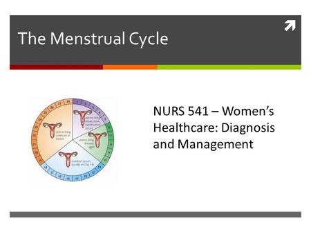  The Menstrual Cycle NURS 541 – Women’s Healthcare: Diagnosis and Management.