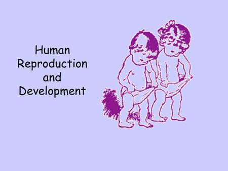 Human Reproduction and Development. Human Reproduction: It’s all about babies!