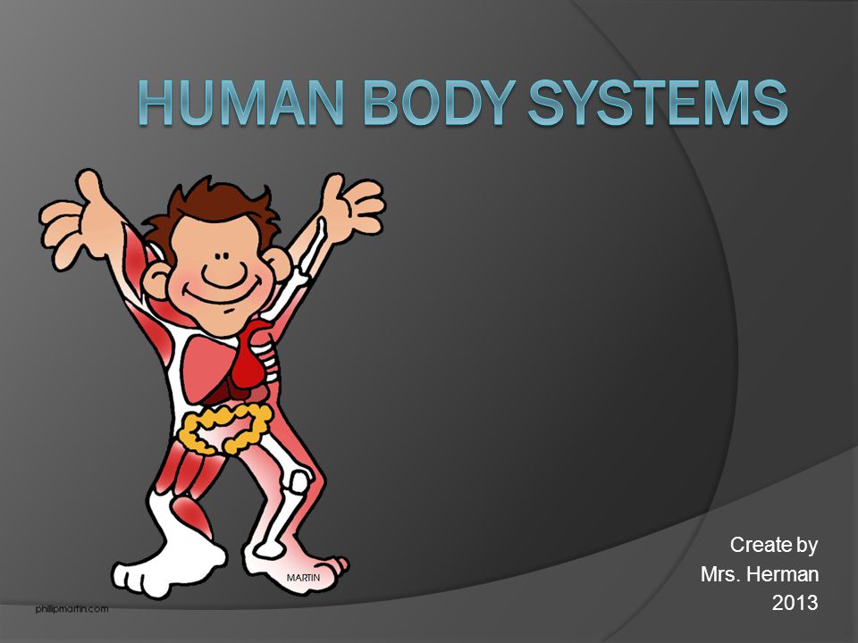 Human Body Systems Create by Mrs. Herman ppt video online download