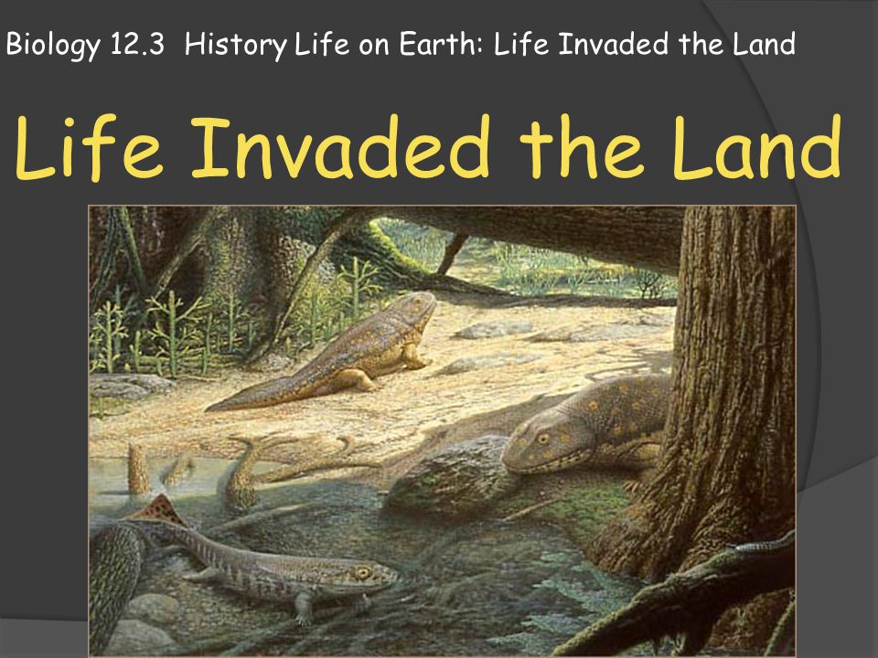 Biology  History Life on Earth: Life Invaded the Land - ppt video  online download