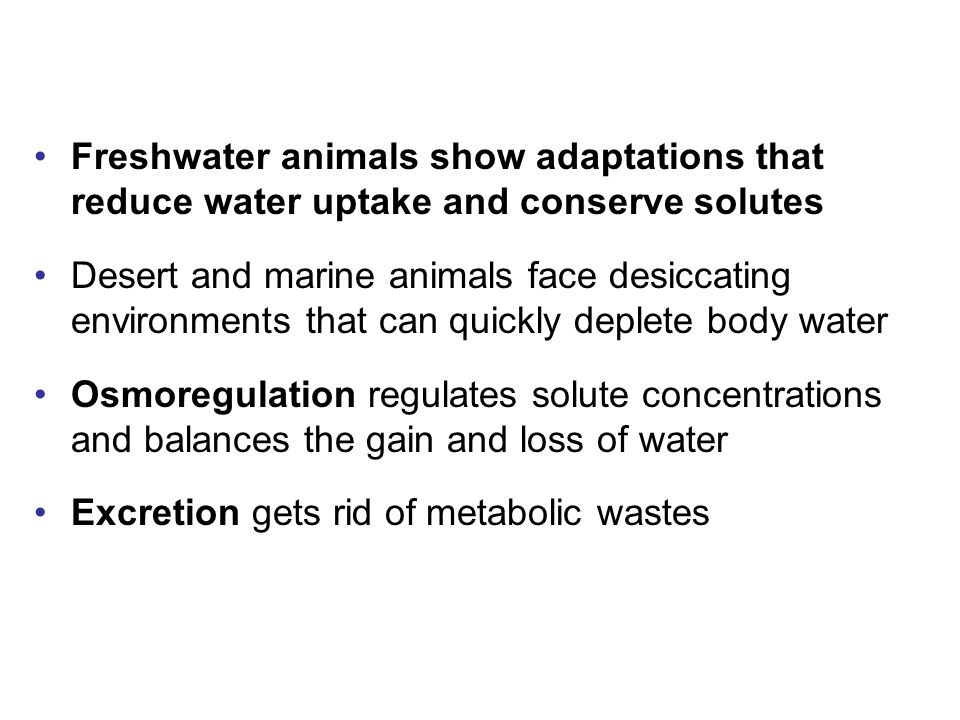 Freshwater animals show adaptations that reduce water uptake and conserve  solutes Desert and marine animals face desiccating environments that can  quickly. - ppt download