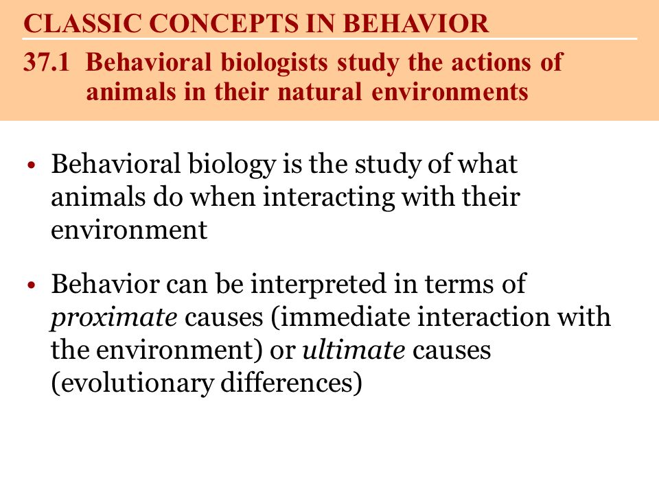 Behavioral biology is the study of what animals do when interacting with their  environment Behavior can be interpreted in terms of proximate causes  (immediate. - ppt download