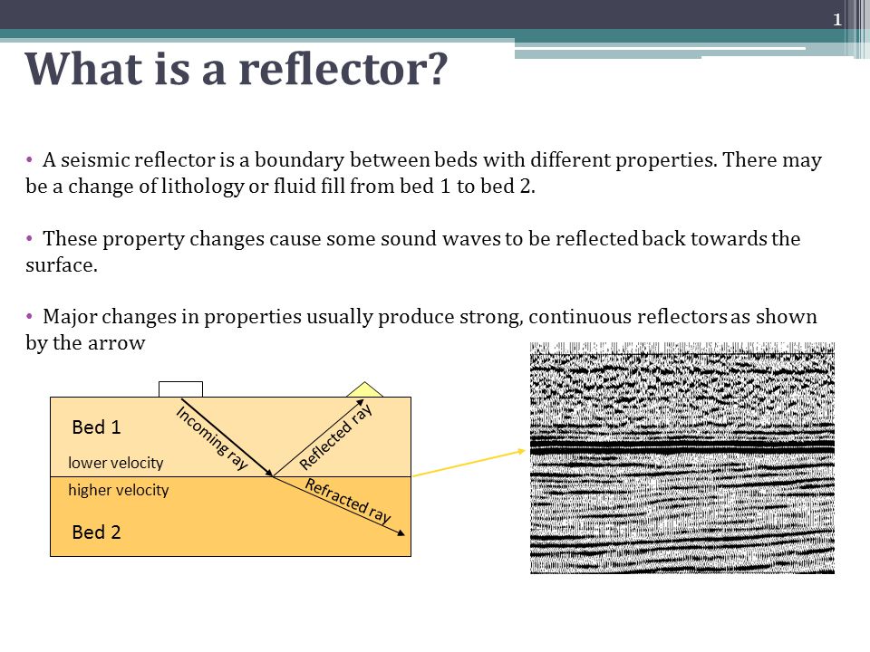What is a reflector? There are many reflectors on a seismic section. Major  changes in properties usually produce strong, continuous reflectors as  shown. - ppt video online download