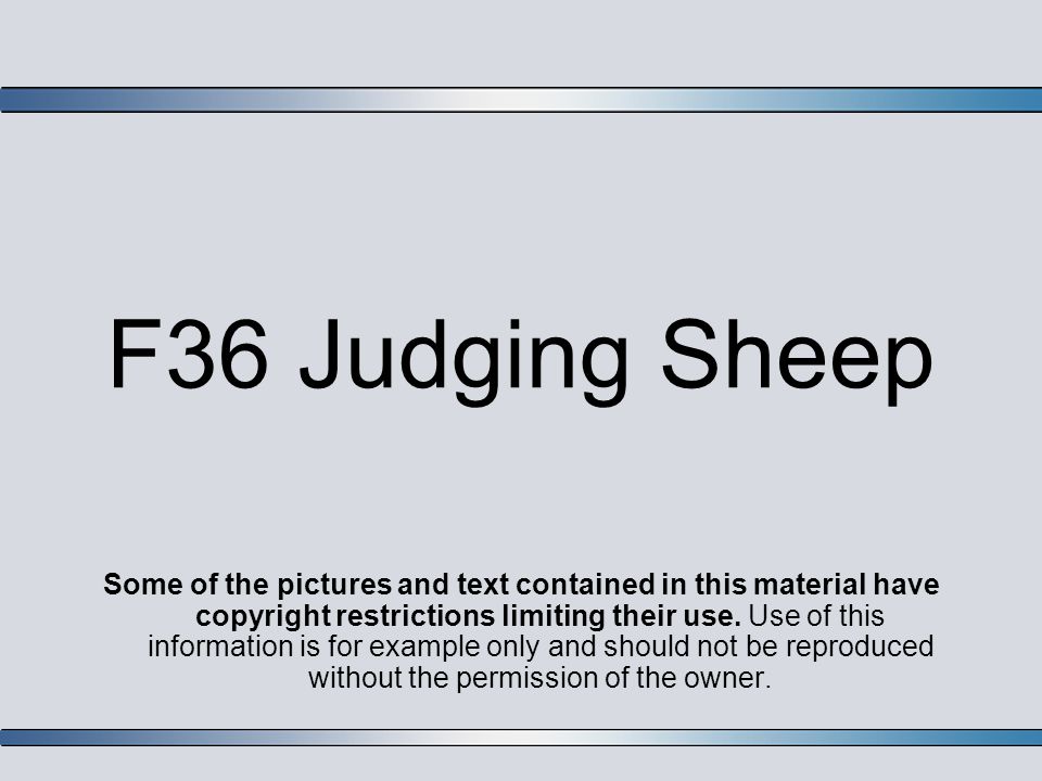 F36 Judging Sheep Some of the pictures and text contained in this material  have copyright restrictions limiting their use. Use of this information is  for. - ppt download