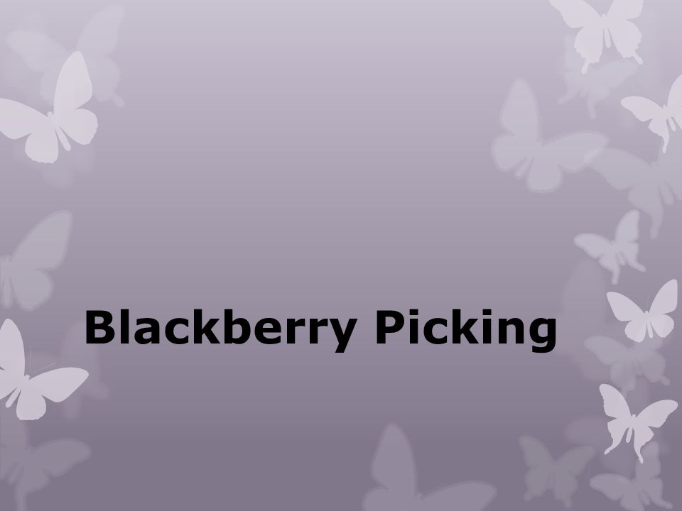 blackberry blackberry blackberry poem
