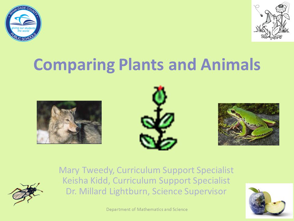 Comparing Plants and Animals - ppt download Comparing Plants and Animals - ppt download