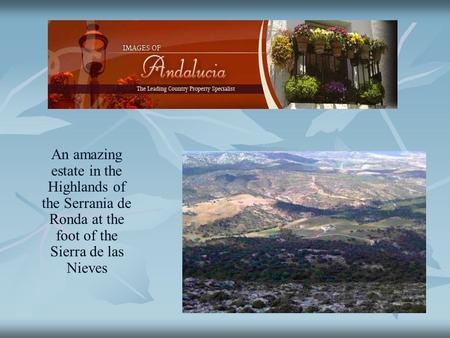 An amazing estate in the Highlands of the Serrania de Ronda at the foot of the Sierra de las Nieves.