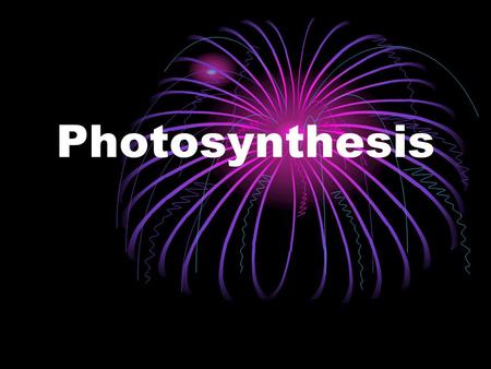 Photosynthesis. What is photosynthesis? Photo - Light Synthesis – Putting together.